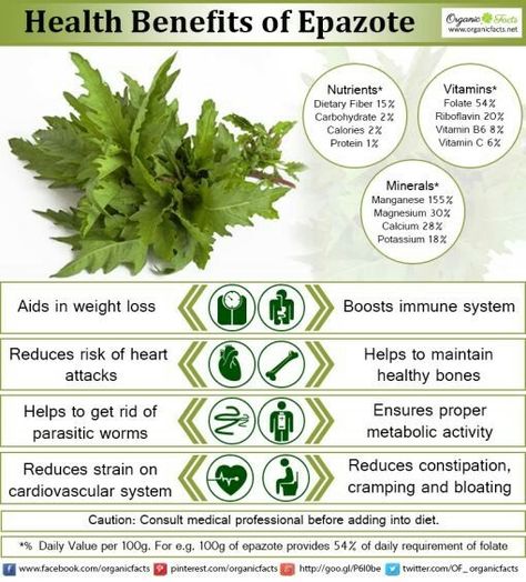 Acupuncture Benefits, Sea Vegetables, Healing Plants, Leafy Vegetables, Egg Dishes, Health Ideas, Healing Herbs, The Immune System, Reduce Weight