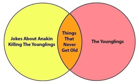 Savage 😂 #starwars #anakin #skywalker #younglings #nevergetsold #ninjamitton Anakin Skywalker Younglings, Anakin Younglings, Darth Plagueis The Wise, Darth Plagueis, Star Wars Funny, Well Hello There, In The Summertime, Space Rock, Star Wars Fandom