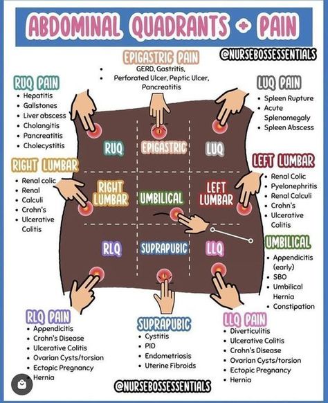 Nursing Tools, Nursing School Studying Cheat Sheets, Emt Study, Medical Assistant Student, Paramedic School, Nclex Review, Nursing School Essential, Nurse Study, Medical Notes