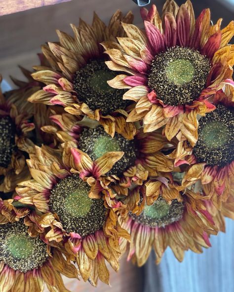 🍁 Fall vibes around the shop 🍂🐿️ #fall #portjefferson #portjeffersonvillage #shopsmall #pumpkins #wherewomencreate #womeninbusiness #pumpkin #maple #sunflowers🌻 Crochet For Mom, Fall Vibes, Small Shop, Pumpkins, Sunflower, Crochet