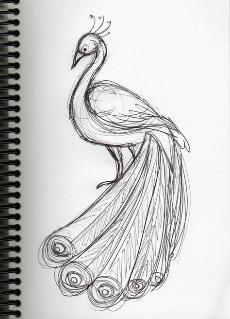 Peacock(: Peacock Drawing Reference, Peacock Dancing In Rain Drawing, Peacock Drawing Sketch, Peacock Sketch Simple, Peacock Tail Drawing, Drawing Of A Peacock, How To Draw Peacock Feathers, Peacock Doodle Art, Peacocks Drawings