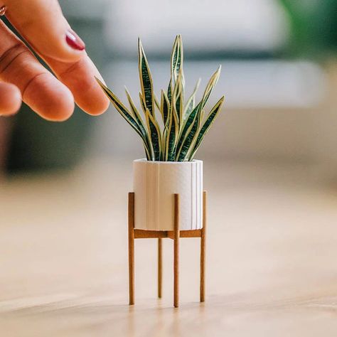 These Miniature Potted Plants Made from Paper are Just Adorable «TwistedSifter Paper Plants Diy, Caleb Y Sophia, Sansevieria Plant, Mini Plant Pots, Paper Pot, Sansevieria Trifasciata, Paper Plants, White Pot, Green Border