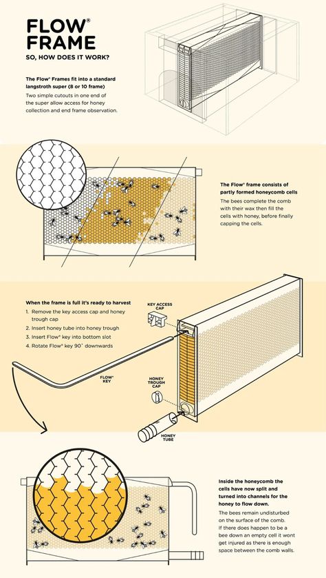 The world’s most innovative beehive makes beekeeping efficient, reduces waste & gets honey on tap! - Yanko Design Bee Hive Design Ideas, Bee Diagram, Apiary Design, Diy Beehive, Bee Hives Boxes, Bee Farming, Flow Hive, Honey House, Beehive Design