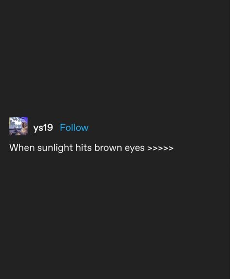 Captions About Brown Eyes, Brown Eyes In The Sun Quotes, Sunlight Aesthetic Captions, Beautiful Brown Eyes Quotes, Sunlight Aesthetic Quotes, Hazel Eyes Quotes, Brown Eyes Quotes, Sunlight Quotes, Pretty Eyes Quotes