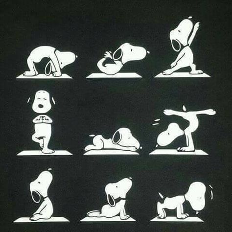 Snoopy Yoga Random Posters, Charlie Brown Snoopy, Snoopy Halloween, Peanuts Cartoon, Snoopy Wallpaper, Snoopy Quotes, Snoopy Pictures, Snoop Dog, Snoopy Love