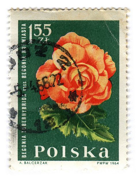 Cute Stamps, Postage Stamp Design, Postcard Stamps, Rare Stamps, Postage Stamp Art, Stamps Collection, Post Stamps, Vintage Postage Stamps, Vintage Postage