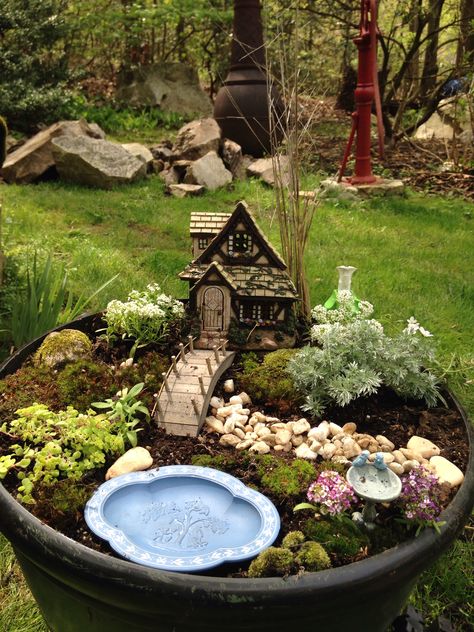 My Fairy Garden Magical Front Yard Landscaping, Fairy Garden Basket, Fairy Village Garden, Fairy Garden With Water Feature, Woodland Fairy Garden, Fairy Garden Planter Ideas, Farm Fairy Garden Ideas, Small Fairy Garden Ideas, Fairy Garden Houses Diy