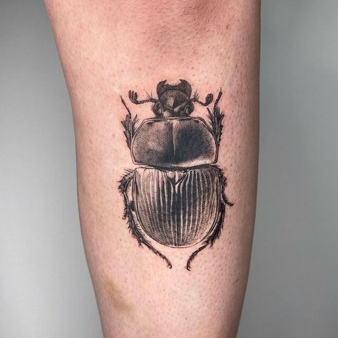 Beetle Tattoos, Scarab Beetle Tattoo, Scientific Tattoo, Apollo Tattoo, Back Of Thigh Tattoo, Scarab Tattoo, Beetle Tattoo, Funky Tattoos, Bug Tattoo