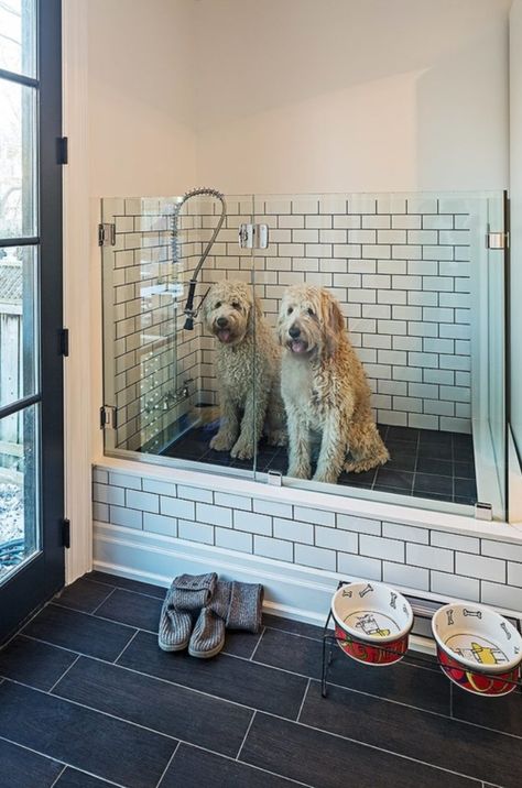 (paid link) Self advance Dog Bathing will get you Bathing your best connections in wonderful dog tubs in no time! Indoor Dog Room, Dog Bathing Station, Dog Tub, Boot Room Utility, Perfect Laundry Room, Utility Room Designs, Dog Bedroom, Indoor Dog House, Dog Washing Station