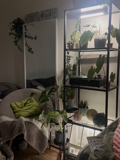 Plant Apartment Aesthetic, Plant Apartment, Dream Apartment Decor, Apartment Aesthetic, Dream Apartment, Interior Inspo, Plant Life, Interior Design Ideas, My Room