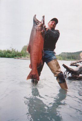 Go fishing for Chinook salmon in the best rivers in the world! Alaska Salmon Fishing, Chinook Salmon, Monster Fish, Monster Fishing, King Salmon, Salt Water Fishing, Alaska Fishing, Cool Fish, Walleye Fishing