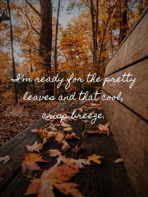 Augtober Quotes, Waiting For Fall Quotes, Autumn Vibes Quotes, Fall Quotes Aesthetic, Fall Quotes And Sayings, Fall Patio, Fall Quotes, Pretty Leaf, Fall Mood Board