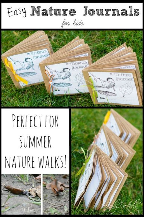 Easy Nature Journals for Perfect for Summer Nature Walks Paper Bag Nature Journal, Nature Puppets, Midsummer Activities, Nature Journal Prompts, Nature Journal Ideas, Outdoor Nature Activities, Nature Play Ideas, Nature Activities For Kids, Forest School Ideas