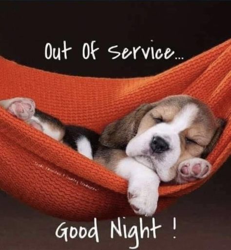 Penelope Pitstop, Good Night Quotes Images, Photos Animals, Prayer Images, Goodbye Quotes, Good Night Funny, Good Morning Funny Pictures, Night Blessings, Night Friends