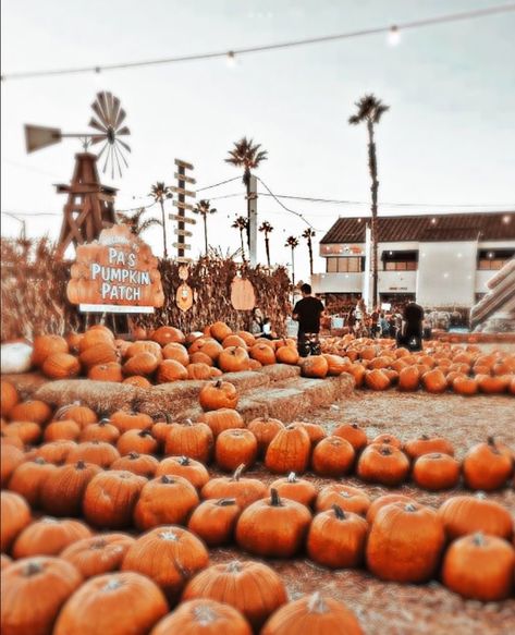 Pumpkin Farm, Autumn Tree, Feel Like Home, Leaf Garland, Pumpkin Patch, Table Centerpieces, Pumpkins