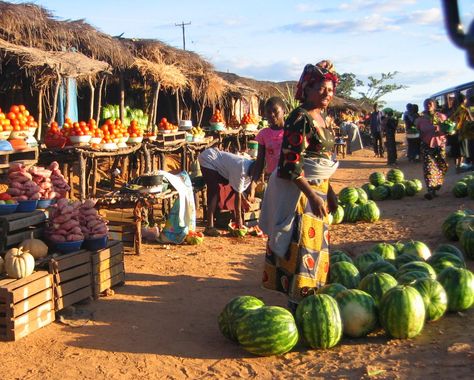 Kenneth Kaunda, Africa Road Trip, Lusaka Zambia, Zambia Africa, Handmade Tools, Africa Trip, African Market, Africa Do Sul, Travel Africa