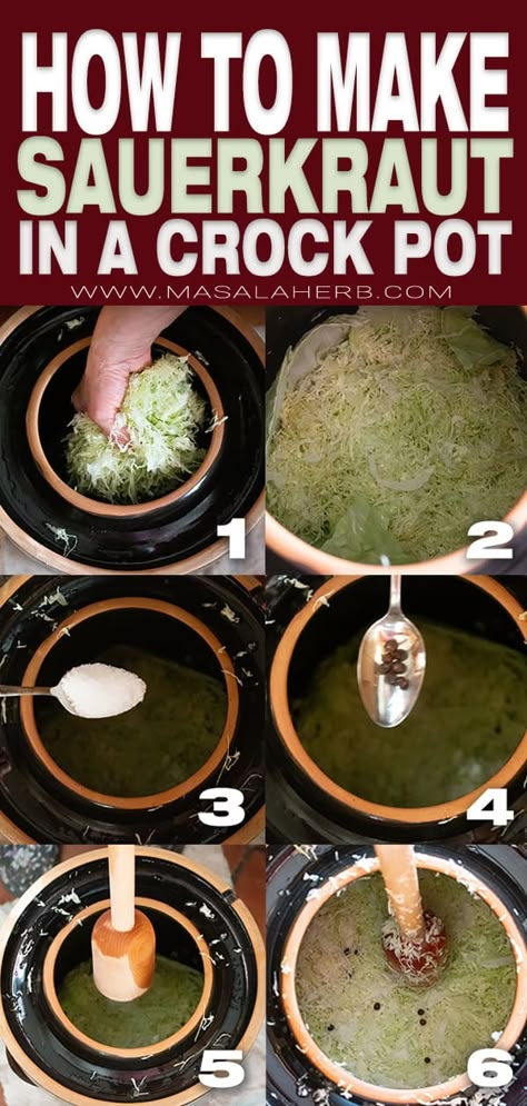 How to make Sauerkraut in a crock pot - Old fashioned recipe, easy DIY cabbage fermentation guide. For homesteading and German Austrian food fans. Healthy vegan recipe with 3 ingredients. www.MasalaHerb.com Homemade Sourkraut, Fermenting Crock Recipes, Sauerkraut In A Crock, Sauerkraut Crock, Crock Meals, Make Sauerkraut, Making Sauerkraut, Fermented Sauerkraut, Austrian Food