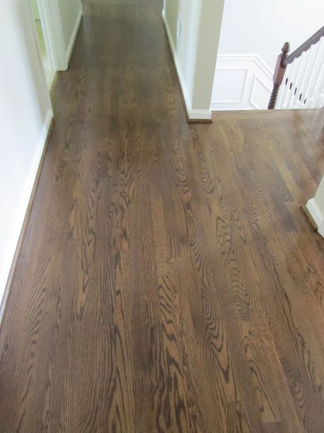 Spice Brown Floor Stain, Refinishing Wood Floors, Oak Floor Stains, Staining Wood Floors, Wood Floor Stain Colors, Floor Stain Colors, Wood Floor Colors, Refinish Wood Floors, Red Oak Floors