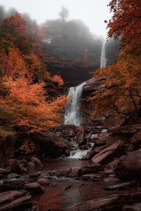 Kaaterskill Falls, Water Falls, Nature Scenery, National Photography, Take Better Photos, Amazing Travel Destinations, Wild Nature, Fall Foliage, Landscape Photographers