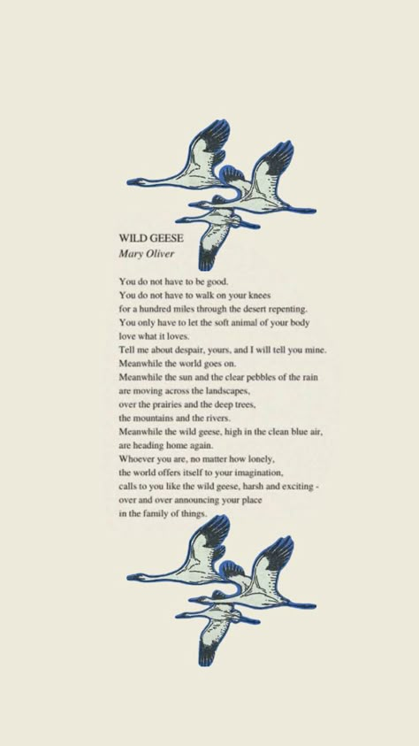 When I Am Among The Trees Mary Oliver, Mary Oliver Tattoo Ideas, Mary Oliver Wallpaper, Wild Geese Mary Oliver Tattoo, Mary Oliver Tattoo, Wild Geese Poem, Poem Decoration, Pretty Things Quotes, Wild Geese Mary Oliver