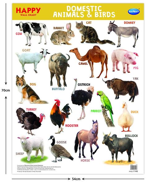 Pet Animals And Wild Animals Chart - Pet's Gallery 2D9 Domestic Animals Chart, Young Ones Of Animals, Farm Animals List, Animals Name With Picture, Animals Chart, Herbivorous Animals, Animal Pictures For Kids, Farm Animals Preschool, Animals Name In English