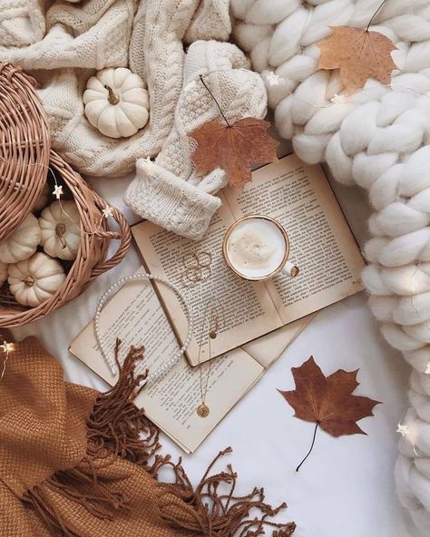 IOS 14 beige/black/pale green aesthetic Fall Mood Board, Bookstagram Inspiration, Cute Fall Wallpaper, Book Wallpaper, Foto Tips, Wonderful Weekend, Autumn Coffee, Coffee And Books, Autumn Cozy