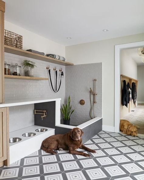 18 Gorgeous Dog Washing Station Ideas » Lady Decluttered Flex Space Ideas, Dröm Hus Planer, Dog Room Design, Elegant Laundry Room, Dog Washing Station, Dog Spaces, Dream Laundry Room, Dream Life House, Laundry Room Remodel