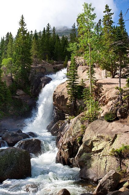 Rocky Mountain National Park Rocky Mountains Colorado, Trip Planner, Water Falls, Beautiful Waterfalls, Rocky Mountain National, Rocky Mountain National Park, Alam Yang Indah, Pine Trees, Rocky Mountain