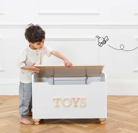 Townhome Remodel, Vans Toy Story, Wooden Toy Chest, Le Toy Van, Kids Toy Boxes, Toy Accessories, Toy Chests, Wooden Toy Boxes, Storage Box With Lid