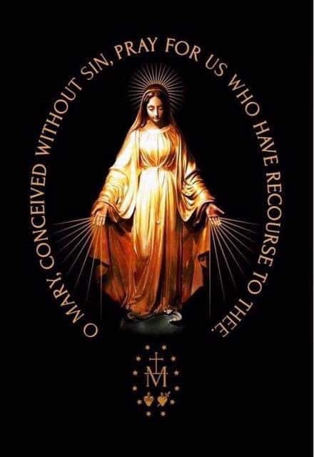 O Mary, conceived without sin, pray for us who have recourse to thee Mary Queen Of Heaven, Blessed Mary, The Immaculate Conception, Mary Mother Of God, Immaculate Heart, Mary Statue, Mama Mary, Queen Of Heaven, Divine Mother