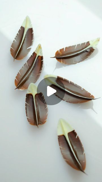 Pastry Garnish Ideas, Cake Garnish Ideas, Chocolate Garnish Ideas, Chocolate Showpiece Ideas, Chocolate Decoration Ideas, Chocolate Hacks, Chocolate Leaves, Chocolate Tempering, Chocolate Decor