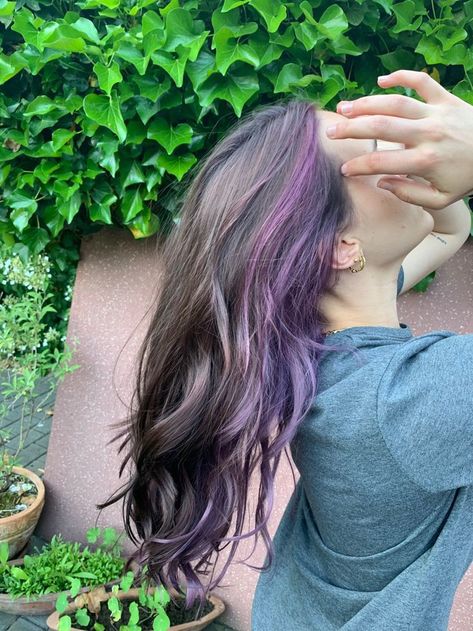 Purple Hair Highlights Light Brown Hair, Purple Hair Underneath Light Brown, Split Dye Brown And Purple, Lilac Hair Streaks, Lavender Hair Underneath Brown, Color Block Hair Ideas Curly, Partial Purple Hair, Colored Hair Underneath Brown, Colored Highlights In Brown Hair Purple