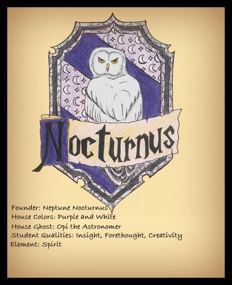 Hogwarts House by nenedudette American Wizarding School, Harry Potter Script, Harry Potter Oc, Ravenclaw House, Potters House, Magic House, Queen Of, Harry Potter Hufflepuff, Harry Potter Fanfiction