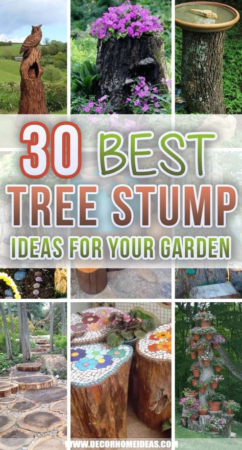 Tree Stumps Diy, Tree Trunk Ideas, Stump Decor, Tree Stump Decor, Stump Planter, Tree Stump Ideas, Tree Stump Planter, Stump Ideas, Tree Stump Table