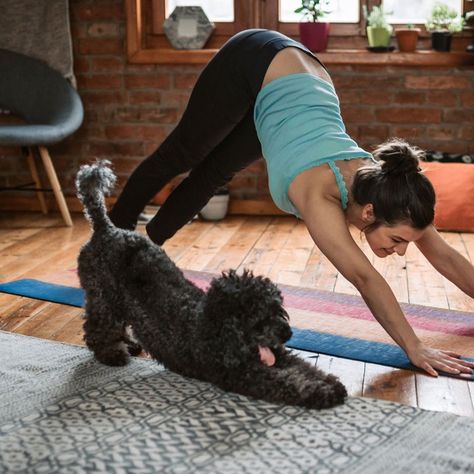 Don't know where to start to do yoga at home? Plan a balanced home practice. Dog Doing Yoga, Yoga Home, Daily Exercises, Dog Yoga, Bare Minimum, Tax Refund, Life Facts, Self Care Routine, Listening To You