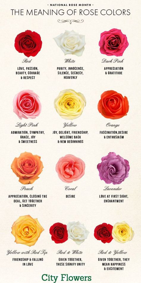 Yellow Rose Meaning, Rose Color Meanings, Rose Meaning, Rose Colors, Color Meanings, Language Of Flowers, Rose Color, Yellow Roses, Healthy Weight