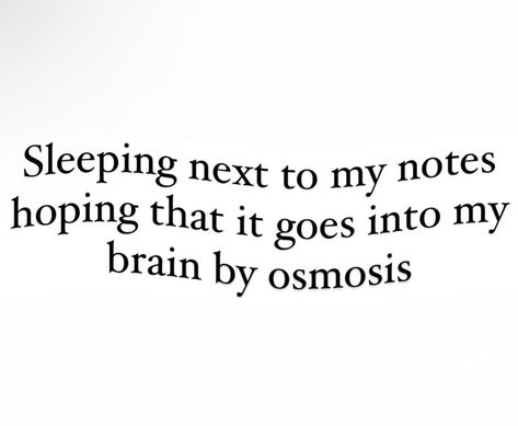 The motivation has been dwindling this semester Comment below how you stay motivated to study #study #studygram #studymotivation #meme #funny #student #students #medstudent #medschool #healthcare #nursing University Life Quotes Funny, Semester Memes Funny, Study Motivation Memes Funny, Nursing Student Quotes Funny, Nursing Memes Student, Finals Week Or My Final Week, Motto In Life For Students Funny, Study Memes Funny Student, Students Quotes Funny