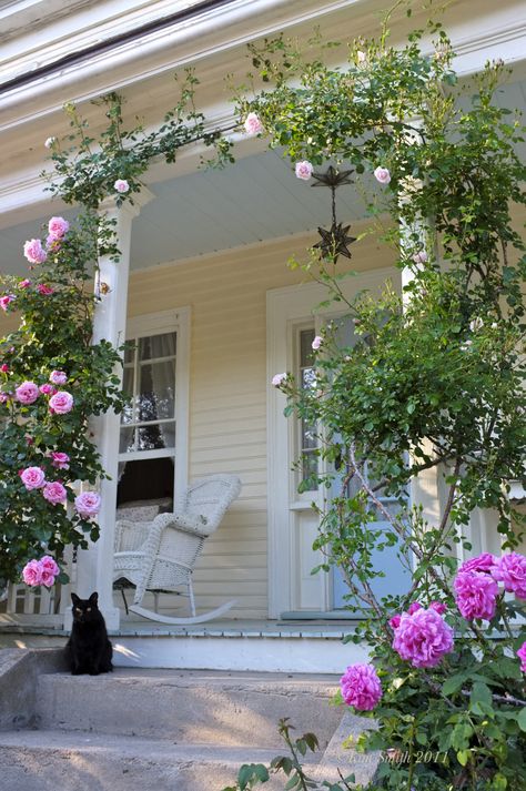 Garden Vase, Kim Smith, Rose Trellis, Climbing Rose, Victorian Cottage, Front Yard Garden, Climbing Roses, House Landscape, Gloucester