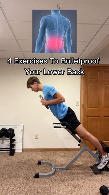 Sam Gingras on Instagram: "4 Exercises To Bulletproof Your Lower Back Back Extensions Seated Goodmornings QL Extensions Jefferson Curls Use code “ATG50” for 50% off your first month of ATG Online Coaching! Like and follow for more!" Stretching Exercises For Back, Curl Exercise, Benefits Of Fitness, Back Extension, Back Extensions, Lower Back Exercises, Lower Abs Workout, Exercise Ideas, Back Pain Exercises