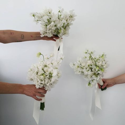 Modern Bridesmaids Bouquets, Single Bloom Bridesmaid Bouquet, Smaller Bridal Bouquet, One Flower Type Bouquet, Bridesmaid Floral Bouquet, Small Bouquet Bridesmaid, Minimal White Bouquet, Bridesmaids No Bouquets, Tiny Bridesmaid Bouquet