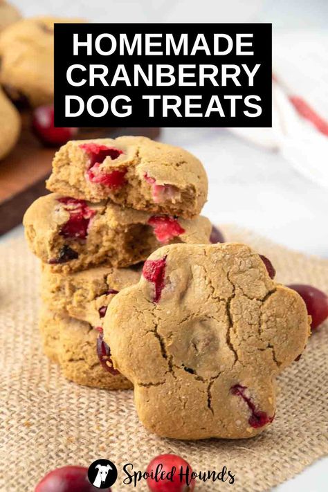 Cranberry Dog Treats, Apple Dog Treats, Cranberry Treats, Cookies For Dogs, Dog Treat Business, Soft Dog Treats, Pet Treats Recipes, Christmas Dog Treats, Treat Business