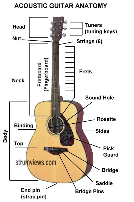 Guitar Lessons----Anatomy of an acoustic guitar Basic Chords Guitar, Guitar Classes, Basic Guitar Lessons, Guitar Learning, Music Theory Guitar, Beginner Guitar, Guitar Lessons For Beginners, Guitar Chord Chart, Learning Guitar