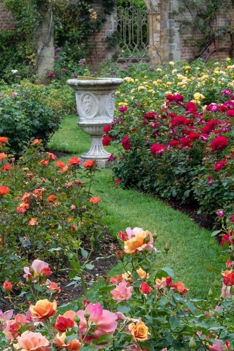 Tropical Rose Garden, Rose Garden Bed Ideas, Rose Garden Landscape Front Yards, English Rose Garden Design, Small Rose Garden Design, Rose Garden Ideas Backyards, Rose Walkway, Small Rose Garden Ideas, Backyard Rose Garden