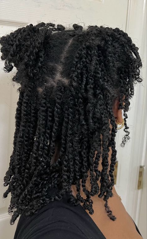 Mini Twists Natural Hair, Cabello Afro Natural, Twisted Hair, Quick Hair, Stylish Short Hair, Quick Natural Hair Styles, Girls Natural Hairstyles, Natural Hair Twists, Pelo Afro