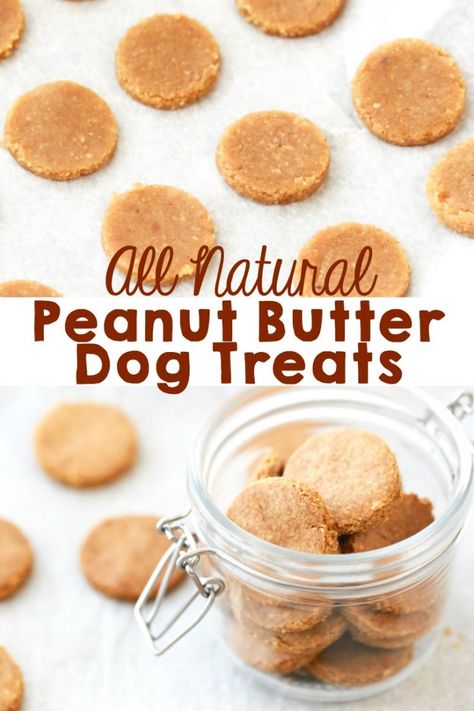 Natural Dog Treats Recipes, Dog Treats Homemade, Dog Cookie Recipes, Homemade Dog Cookies, Dog Treats Homemade Easy, Easy Dog Treat Recipes, Dog Biscuit Recipes, Easy Dog Treats, Healthy Dog Treats Homemade