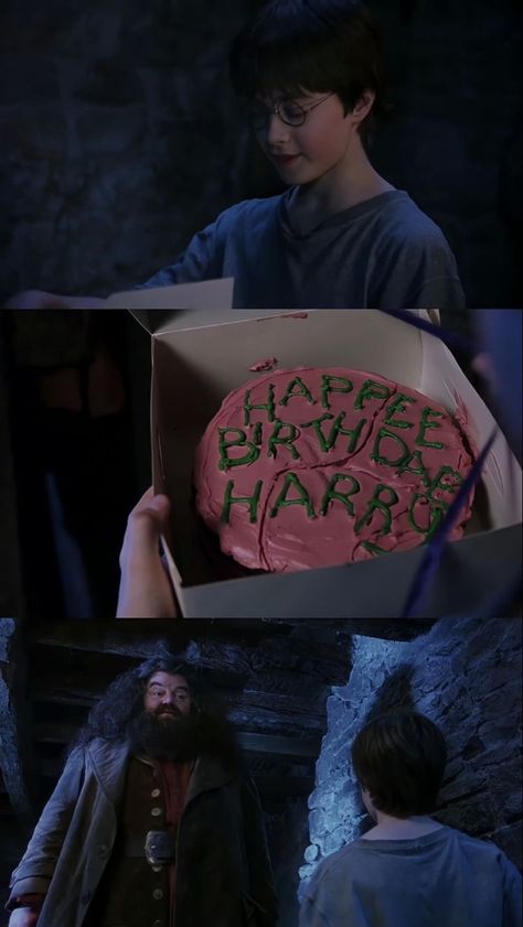 Hagrid Harry Potter, Harry Potter Wallpapers, Harry Potter 9, Cumpleaños Harry Potter, Harry Potter Harry, Harry Potter Background, Yer A Wizard Harry, Harry Potter Images, Harry Potter Cake