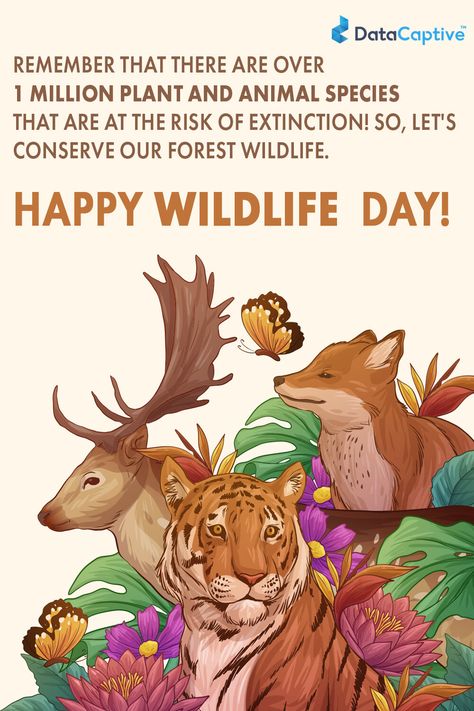 Save Wildlife Poster Painting, Save Wildlife Poster Ideas, Save Animals Poster, Wildlife Week, World Wildlife Day, Bank Job, Online Preschool, Project Cover Page, Wildlife Protection