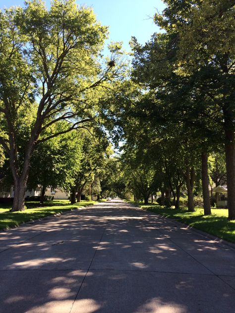 My neighborhood street! Love the trees hanging and shading the street! Old part of town and a huge nest in the tree!! Victory Project, Neighborhood Aesthetic, Neighborhood Street, Ap Drawing, My Future Self, Mini Library, The Giving Tree, Beautiful Library, Filthy Rich