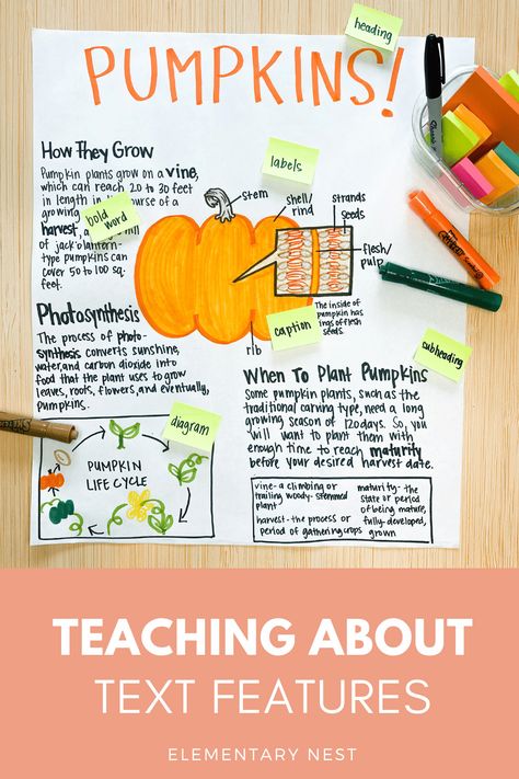 This blog post details lessons and ideas for teaching nonfiction text features, with activities that incorporate the fall season. Your elementary students will love these fall-themed reading passages and activities while they learn how to find text features in informational texts. Text Features Anchor Chart 2nd Grade, Fall Reading Activities, Nonfiction Text Features Activities, Teaching Nonfiction Text Features, Fun Fall Activities For Kids, Text Features Activities, Nonfiction Reading Activities, Informational Text Features, Teaching Informational Text