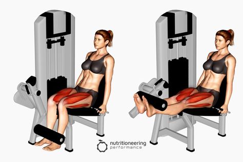 Leg Exercise Machines for Quads Leg Workout Women Gym Machines, Beginner Leg Workout Gym Machines, Machine Leg Workout Gym, Leg Day Workout At The Gym Machines, Leg Curl Machine Workout, Leg Exercises At The Gym, Leg Day Workout At The Gym, Weight Machine Workout, Beginner Leg Workout